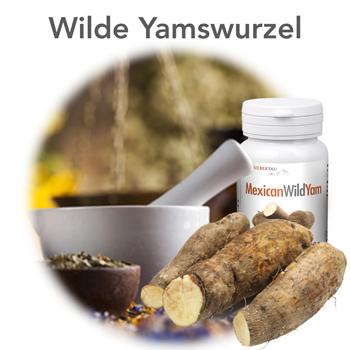 yams-wurzel-frau-120-kapsel-vegan-pflanzlich-hormon