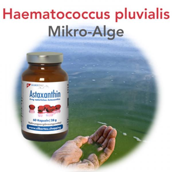 astaxanthin-natuerlich-Alge-Haematococcus-pluvialis